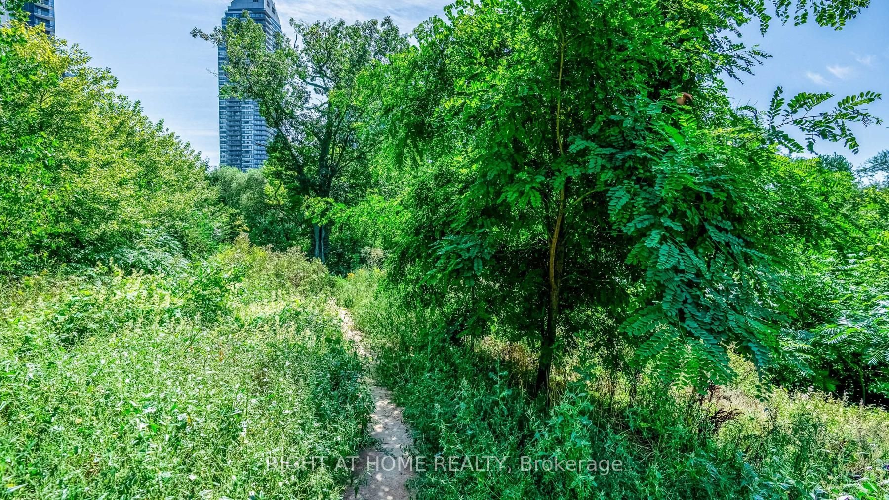 36 Park Lawn Rd, #1308