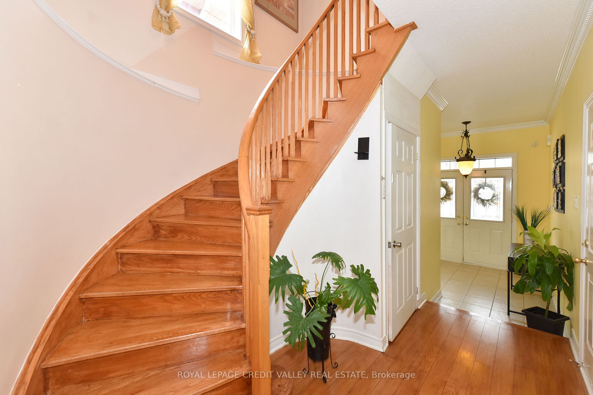 25 Clearjoy St