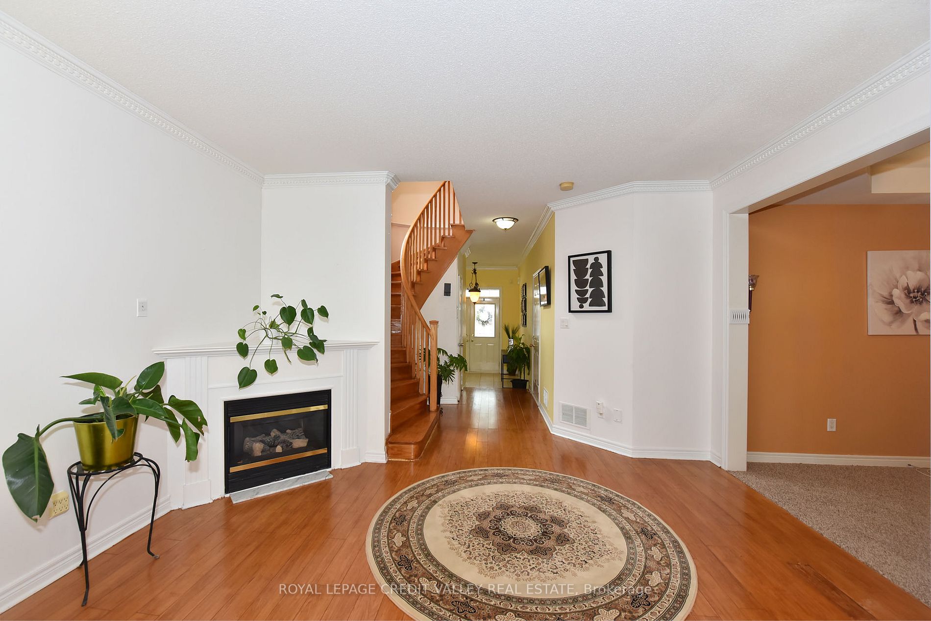 25 Clearjoy St