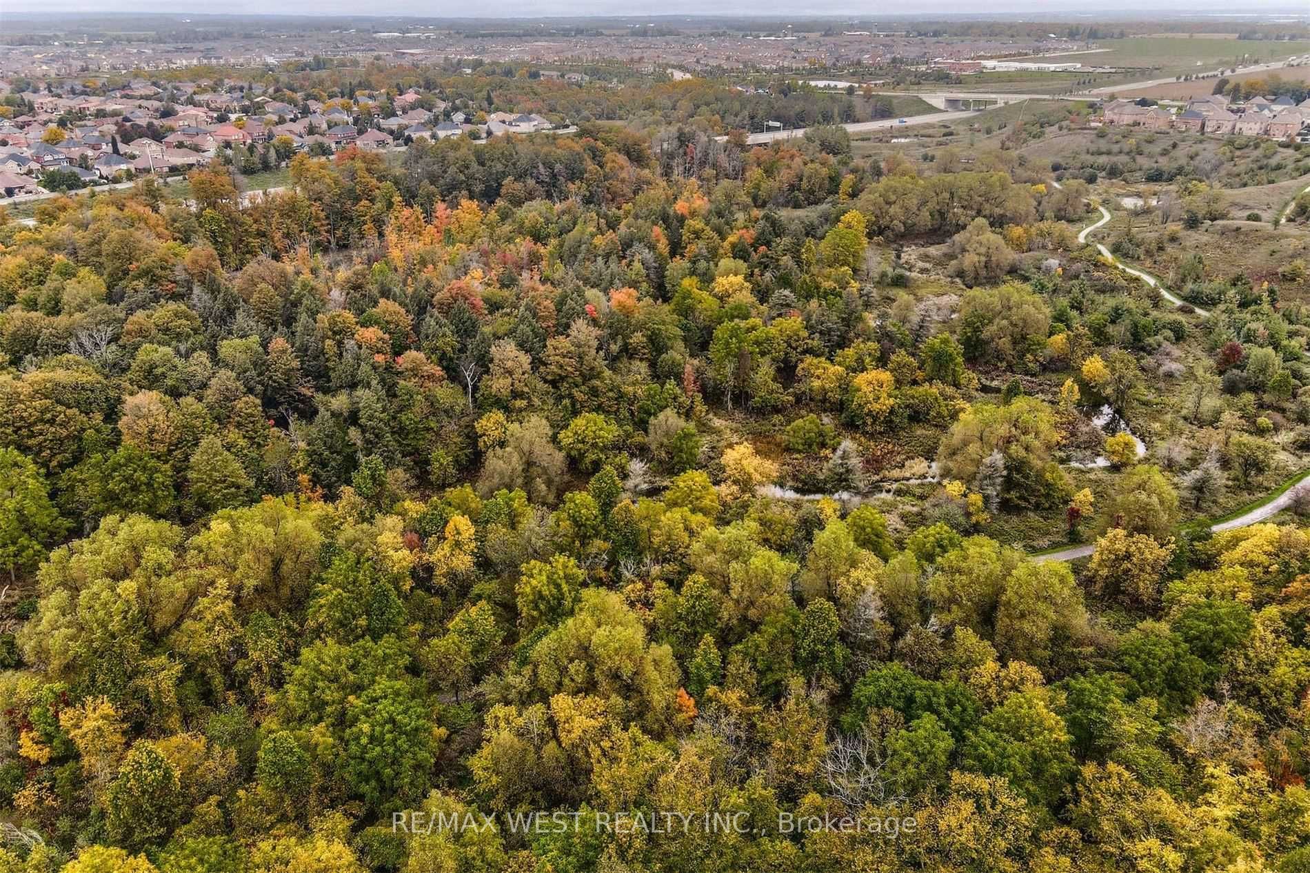 39 Snellview Blvd