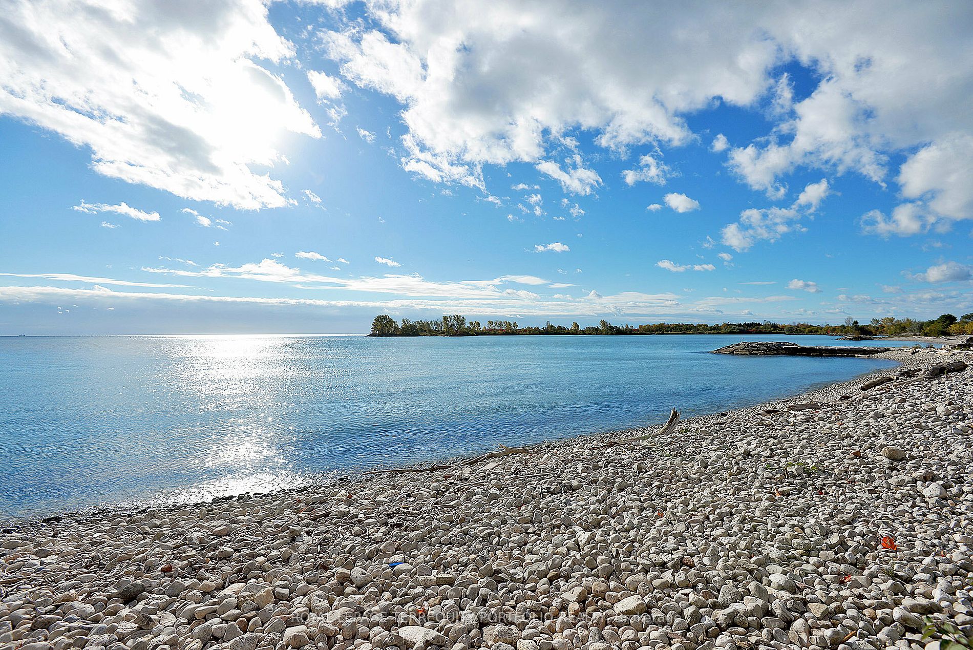 2095 LAKE SHORE Boulevard W, #115