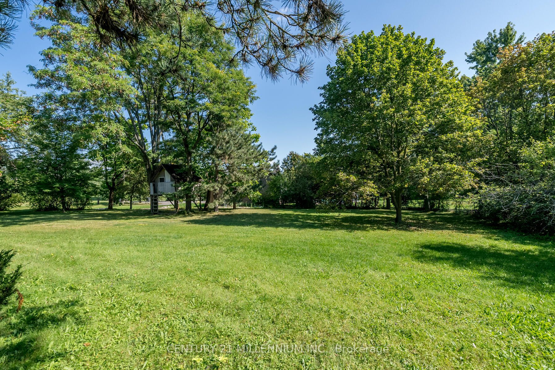 14725 Creditview Road
