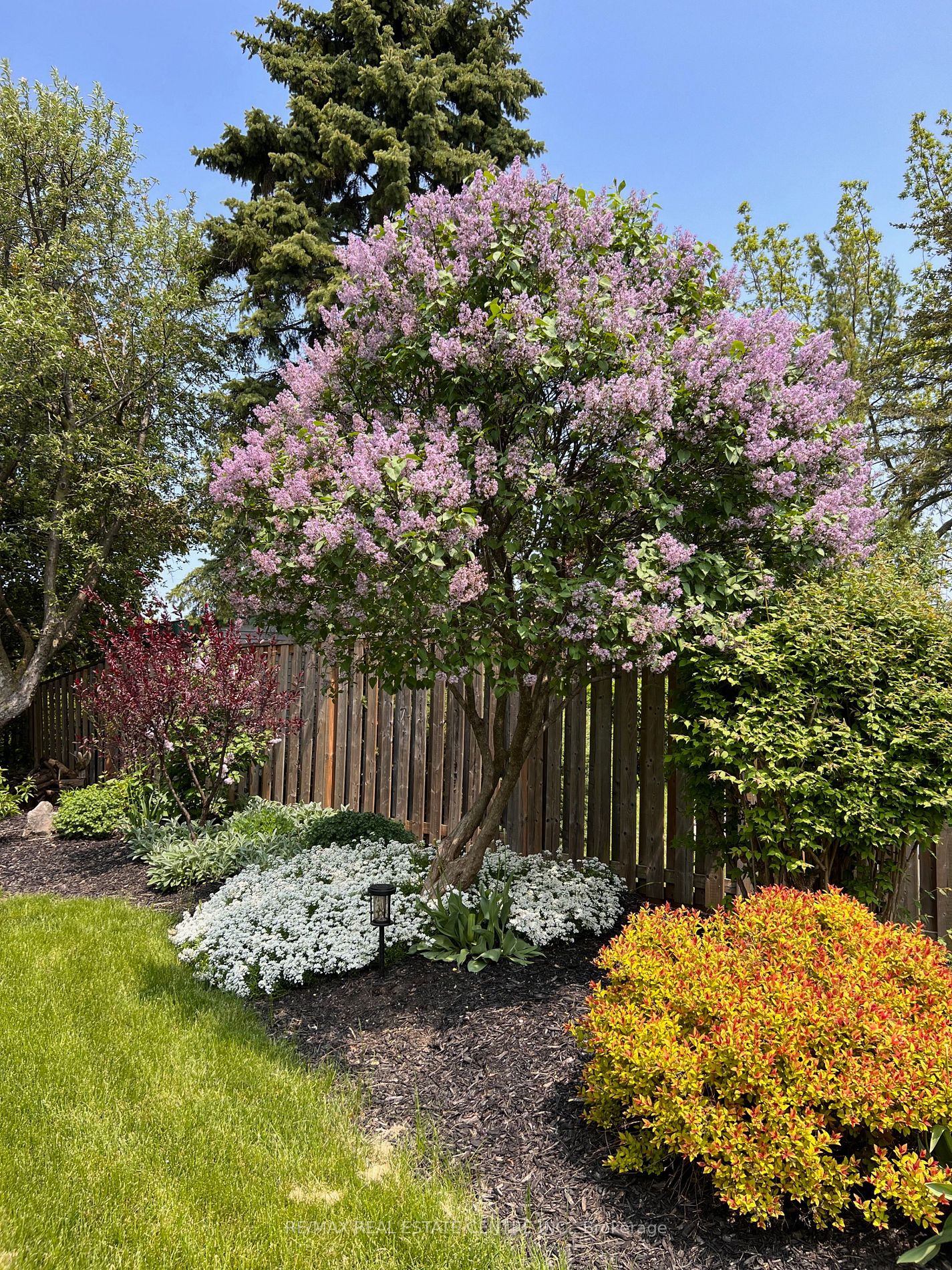 67 Dawson Crescent