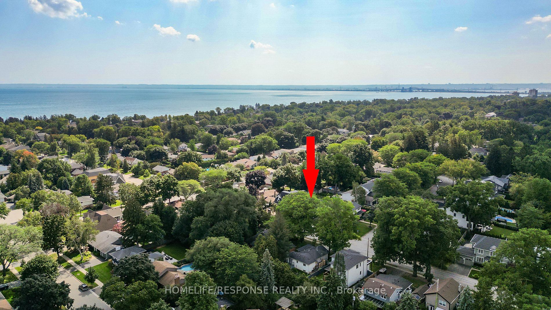 339 PINE COVE Road