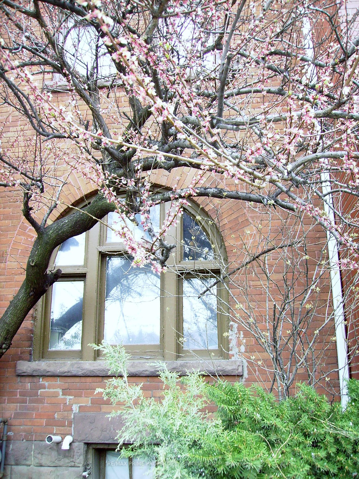 102 Annette St