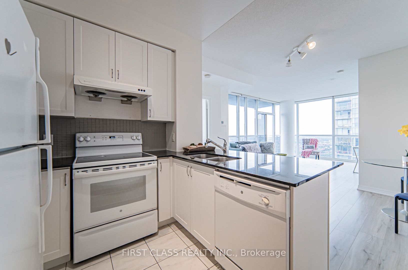 223 Webb Dr, #3109