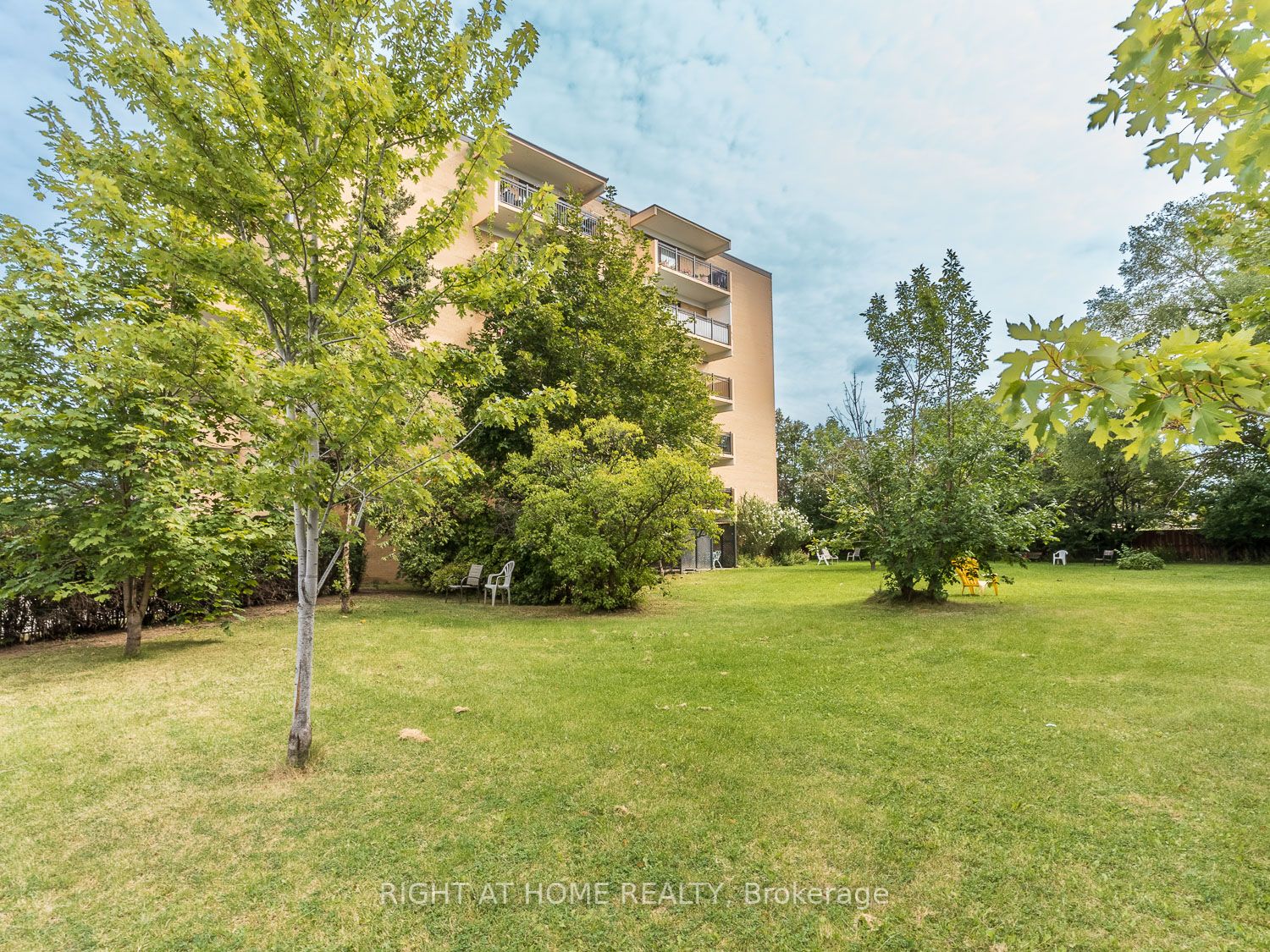 Listing W6800994 - Large Photo # 4