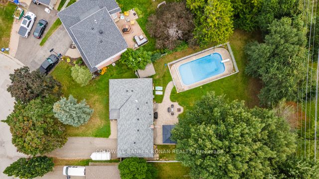 59 Edelwild Dr