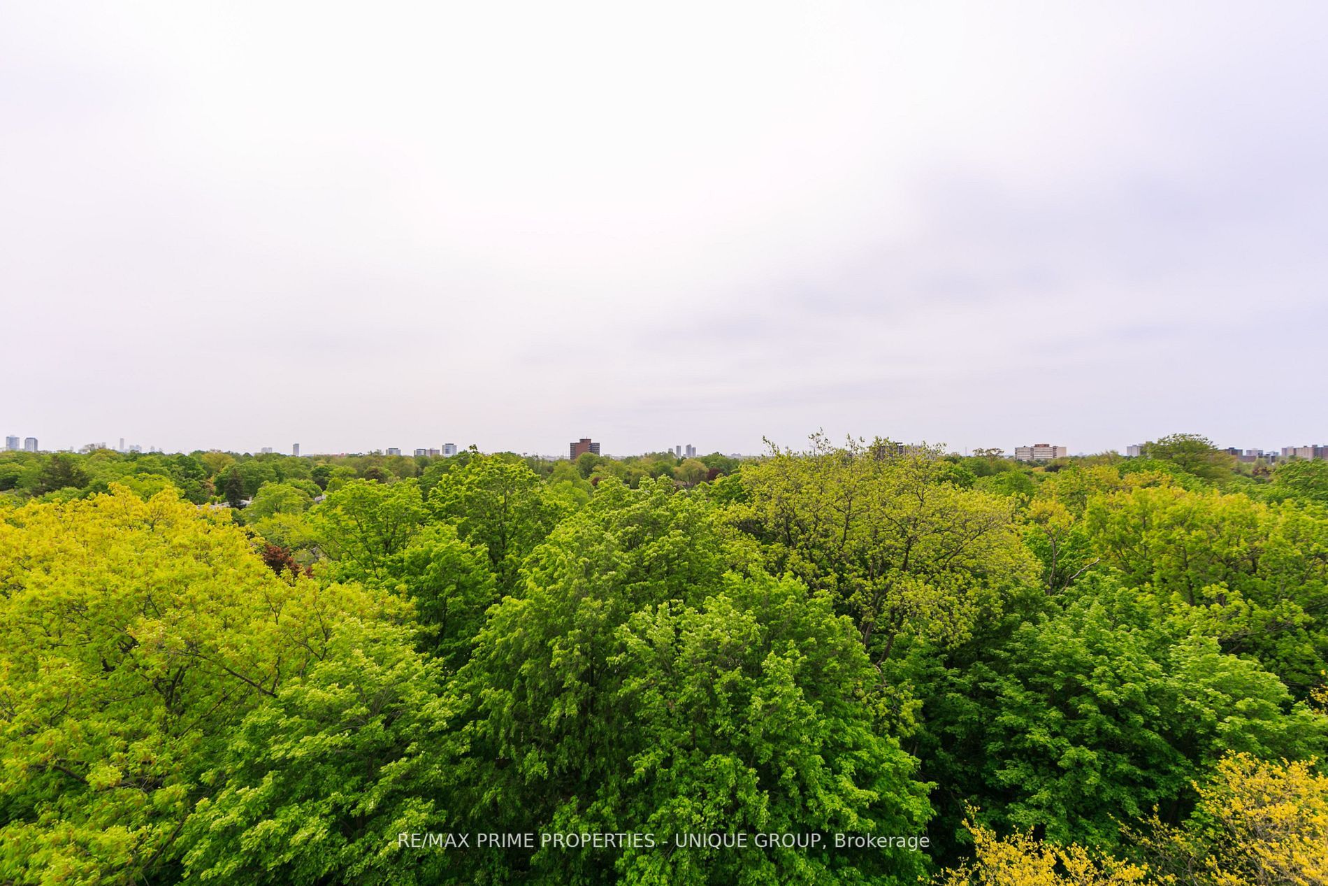 284 Mill Rd, #D3