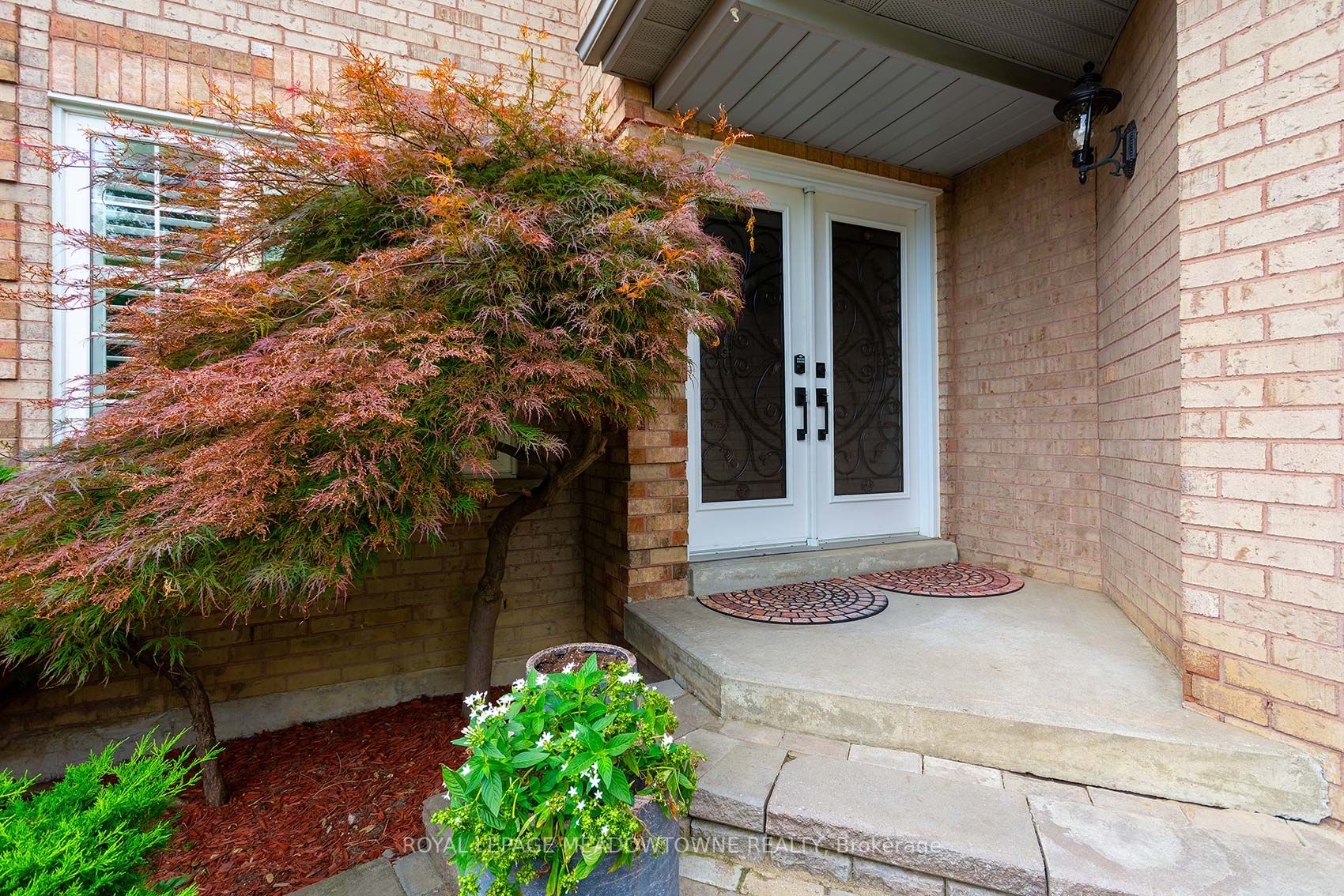 Listing W6806268 - Large Photo # 4