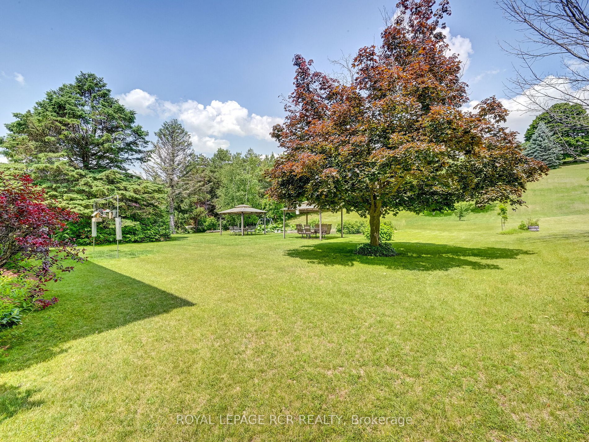 55 George Cres