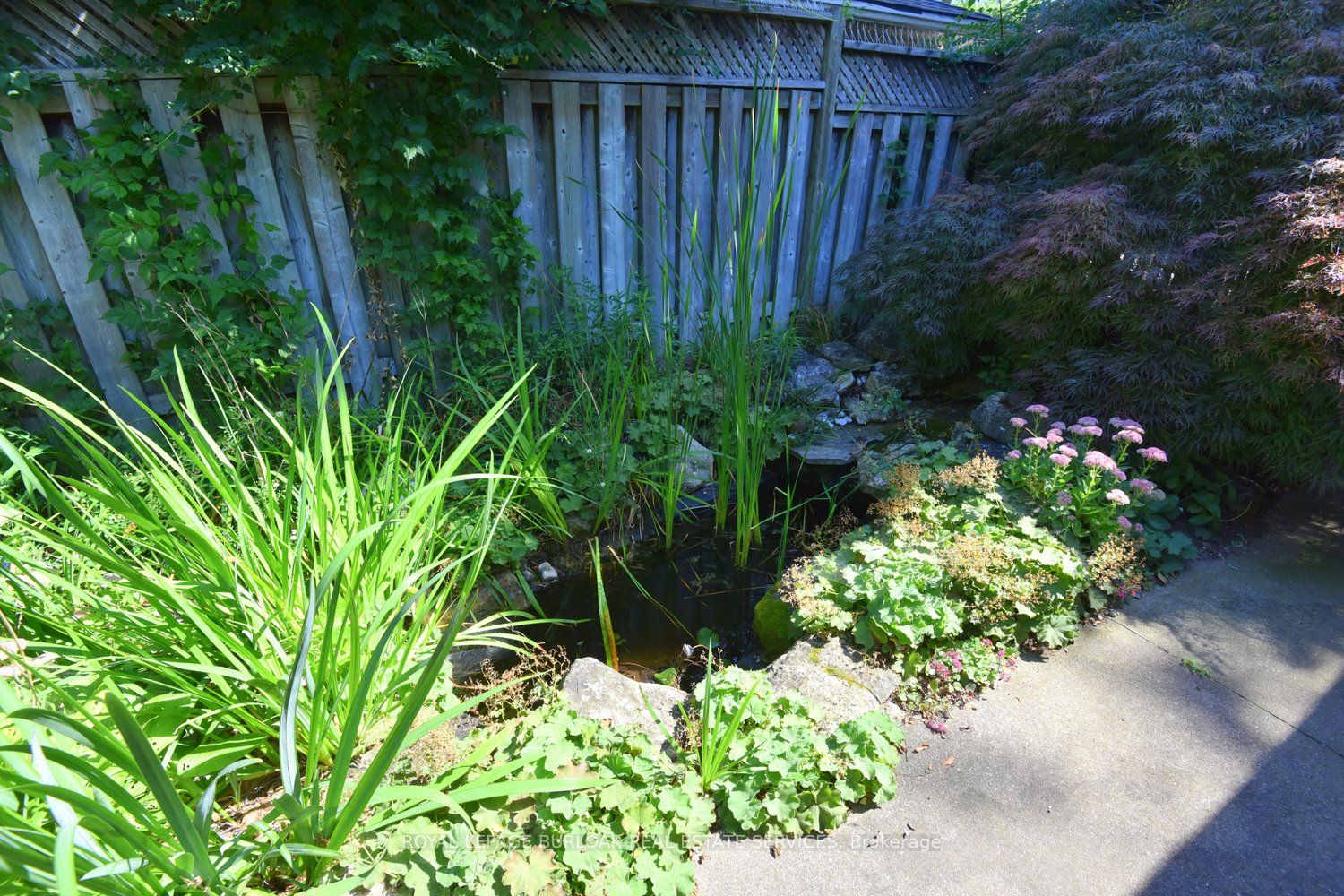 581 Braemore Rd