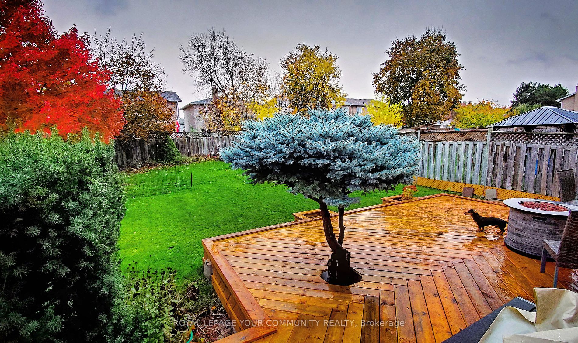 5 King Arthurs Crt