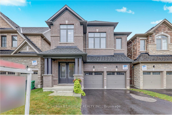 45 Rainbrook Clse, Brampton