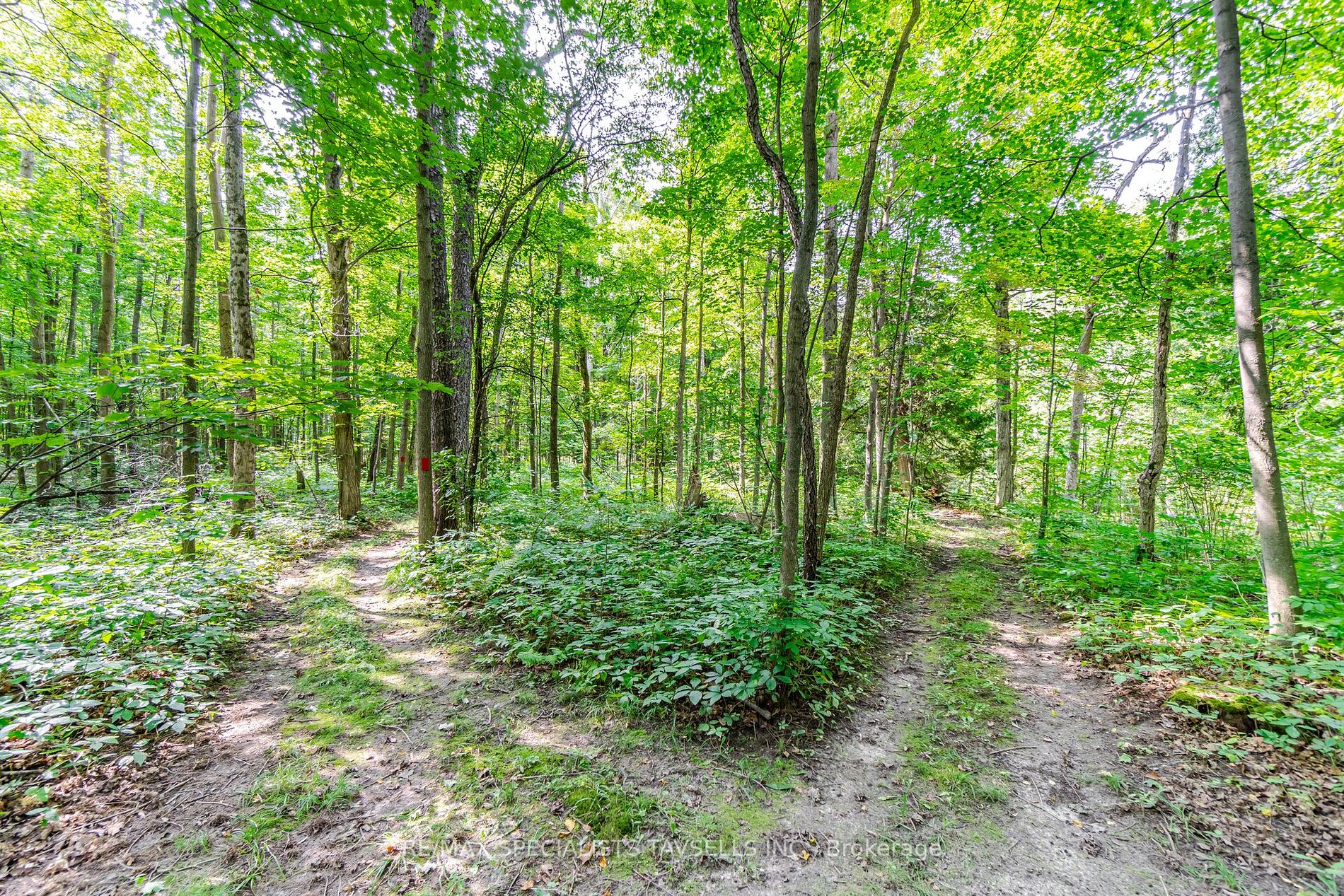16258 Humber Station Rd