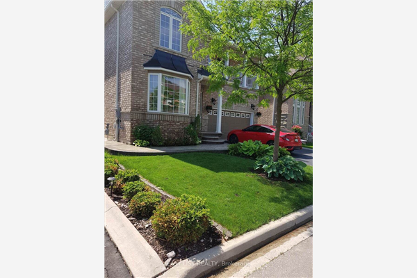 45 Begonia Cres