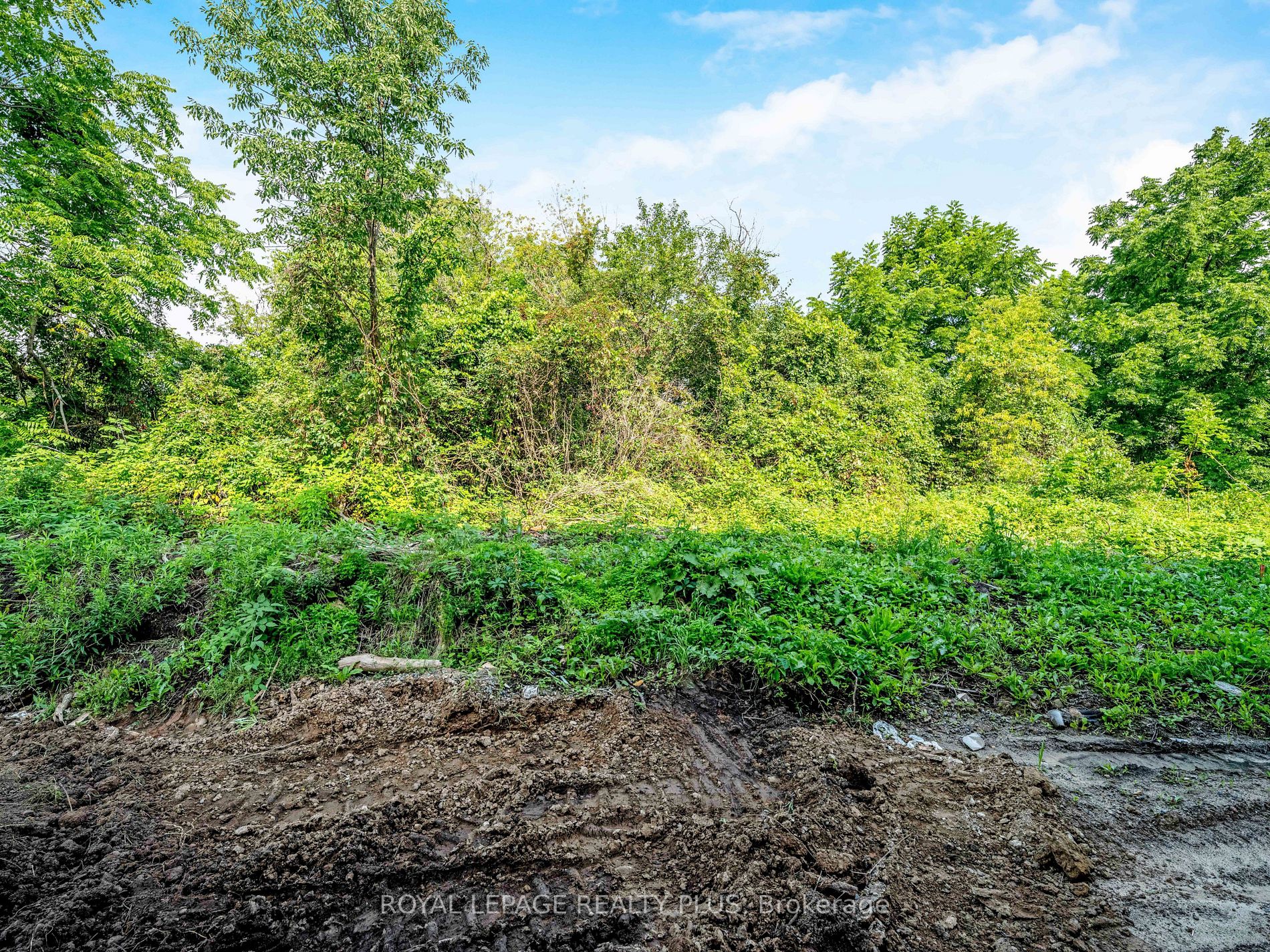 Listing W7000598 - Large Photo # 37