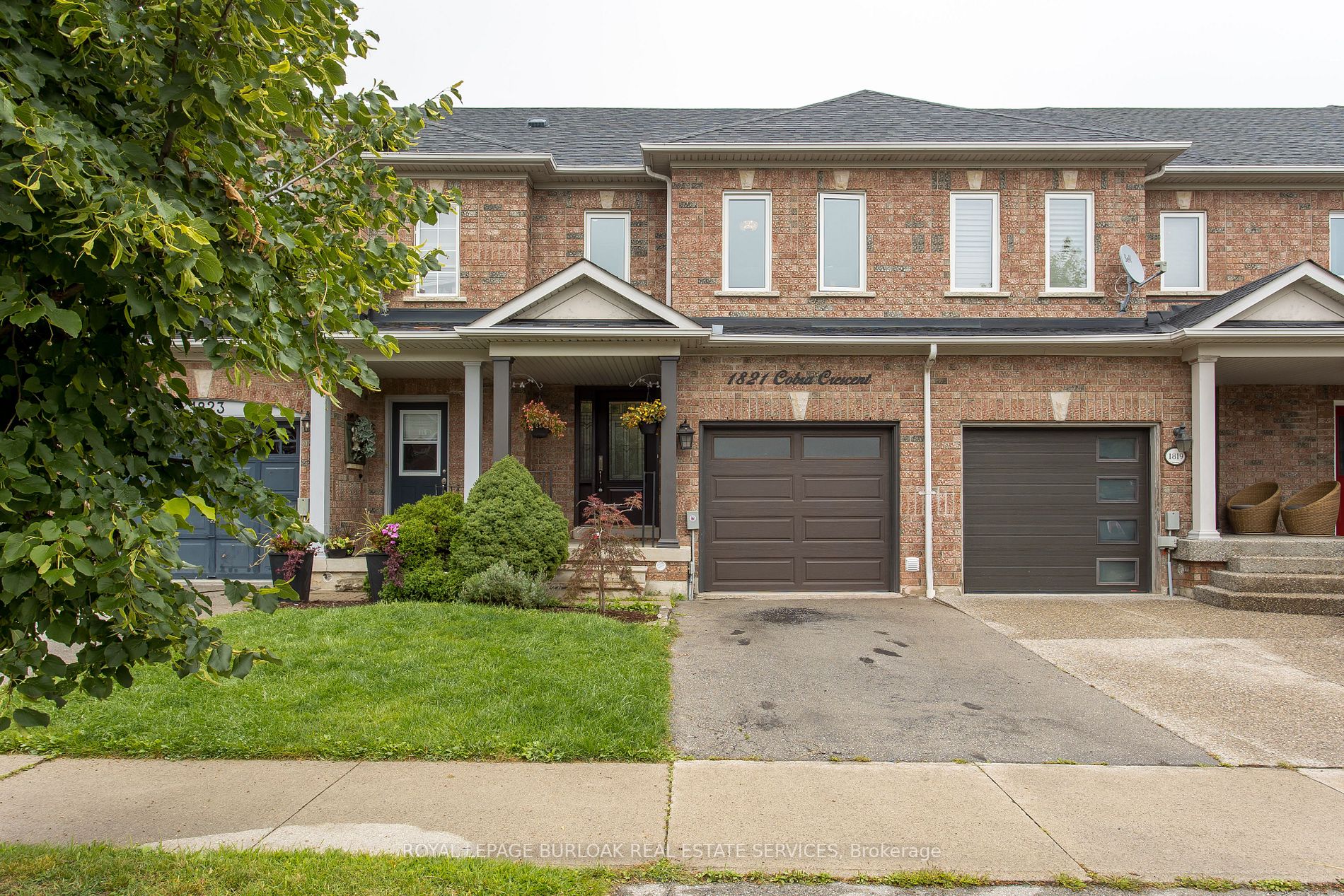1821 Cobra Cres
