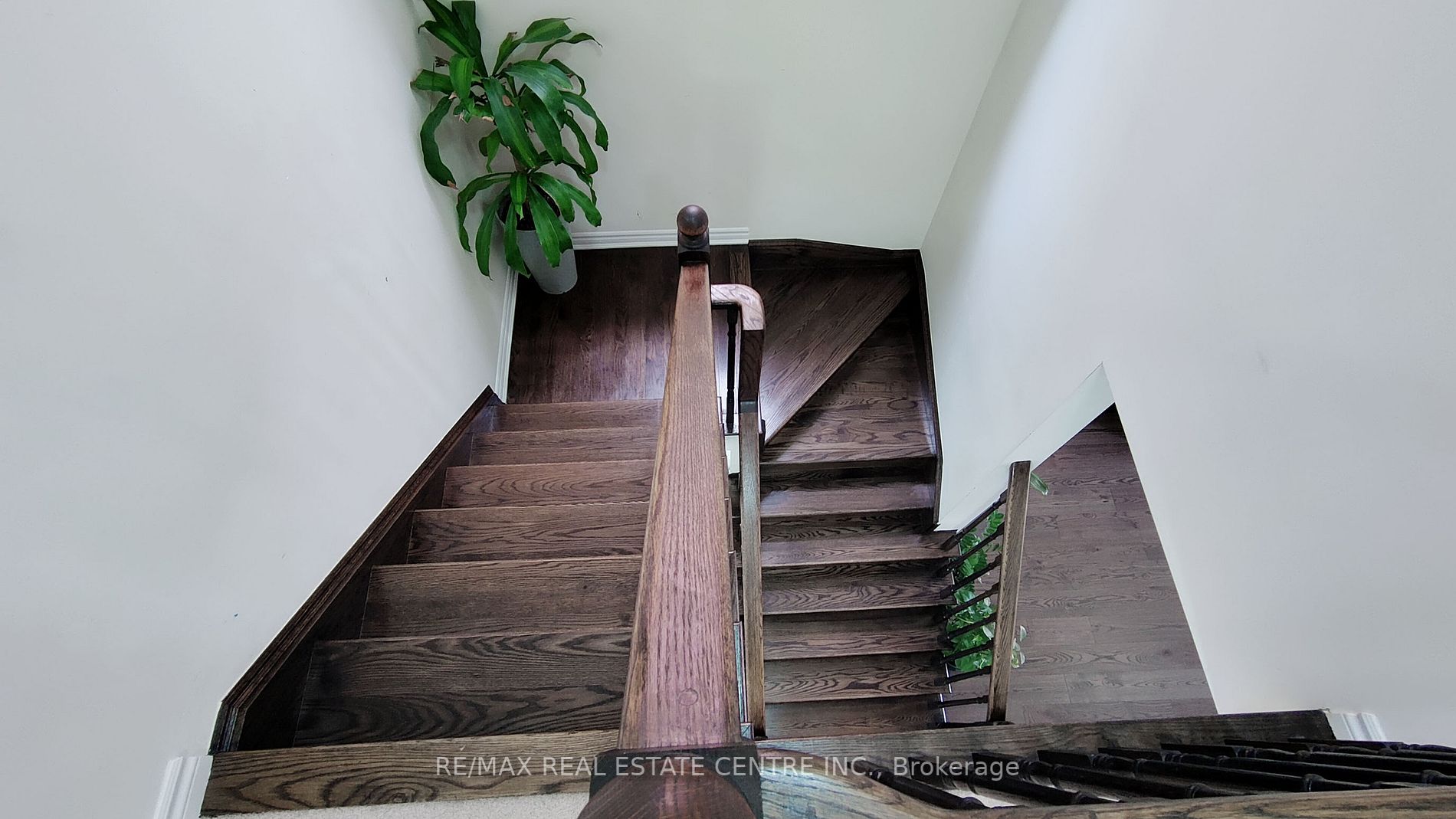 56 Callandar Road