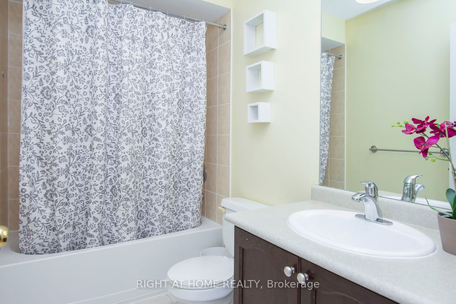 4829 Verdi St