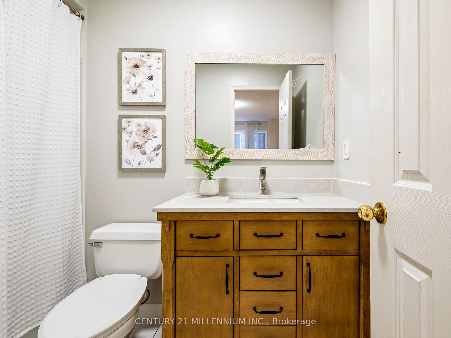 3938 Zenith Court