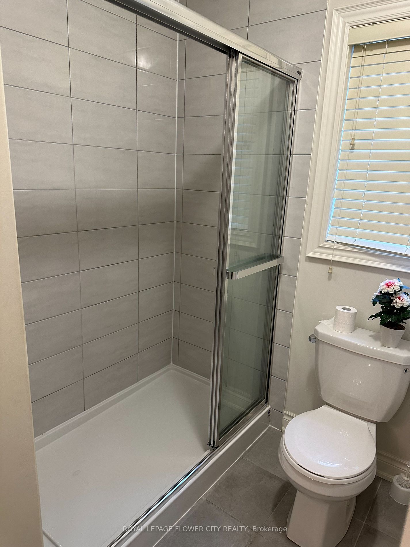 65 Deer Ridge Trail