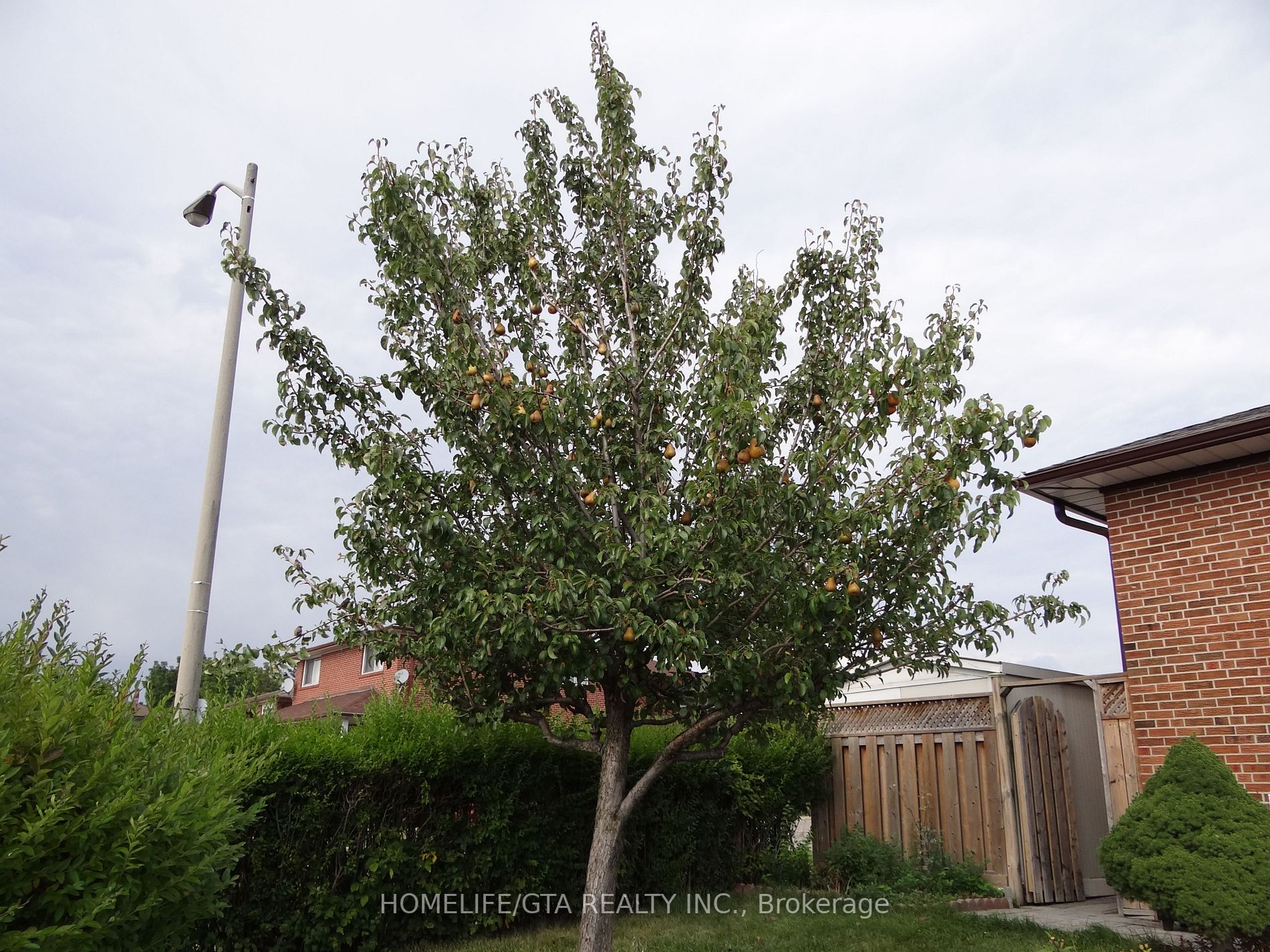 23 Paradelle Cres