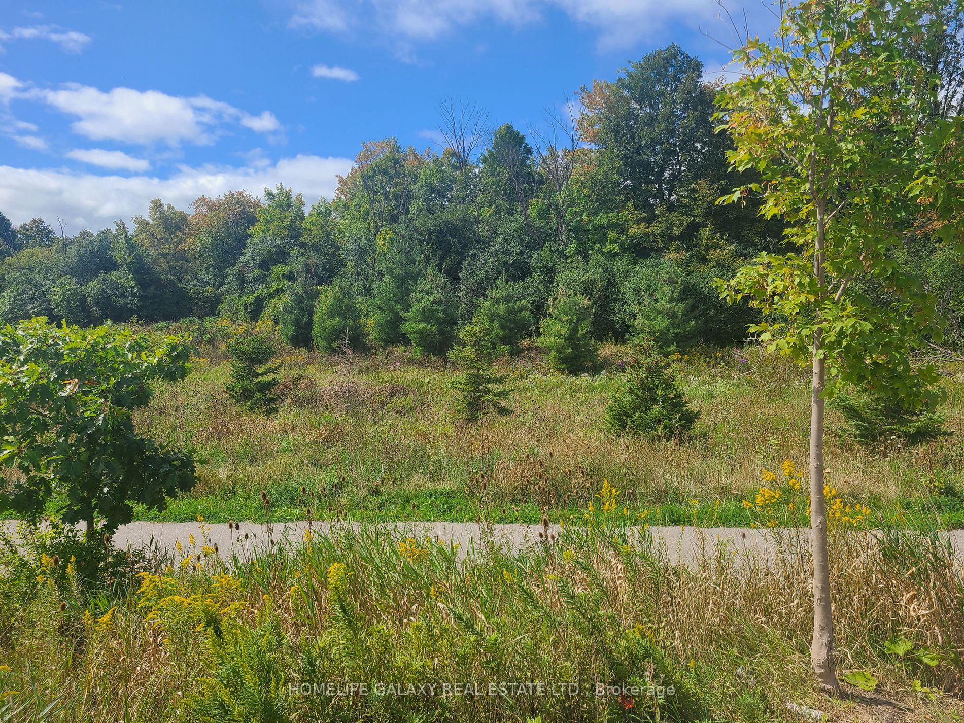 1 Beckenrose Court, #108