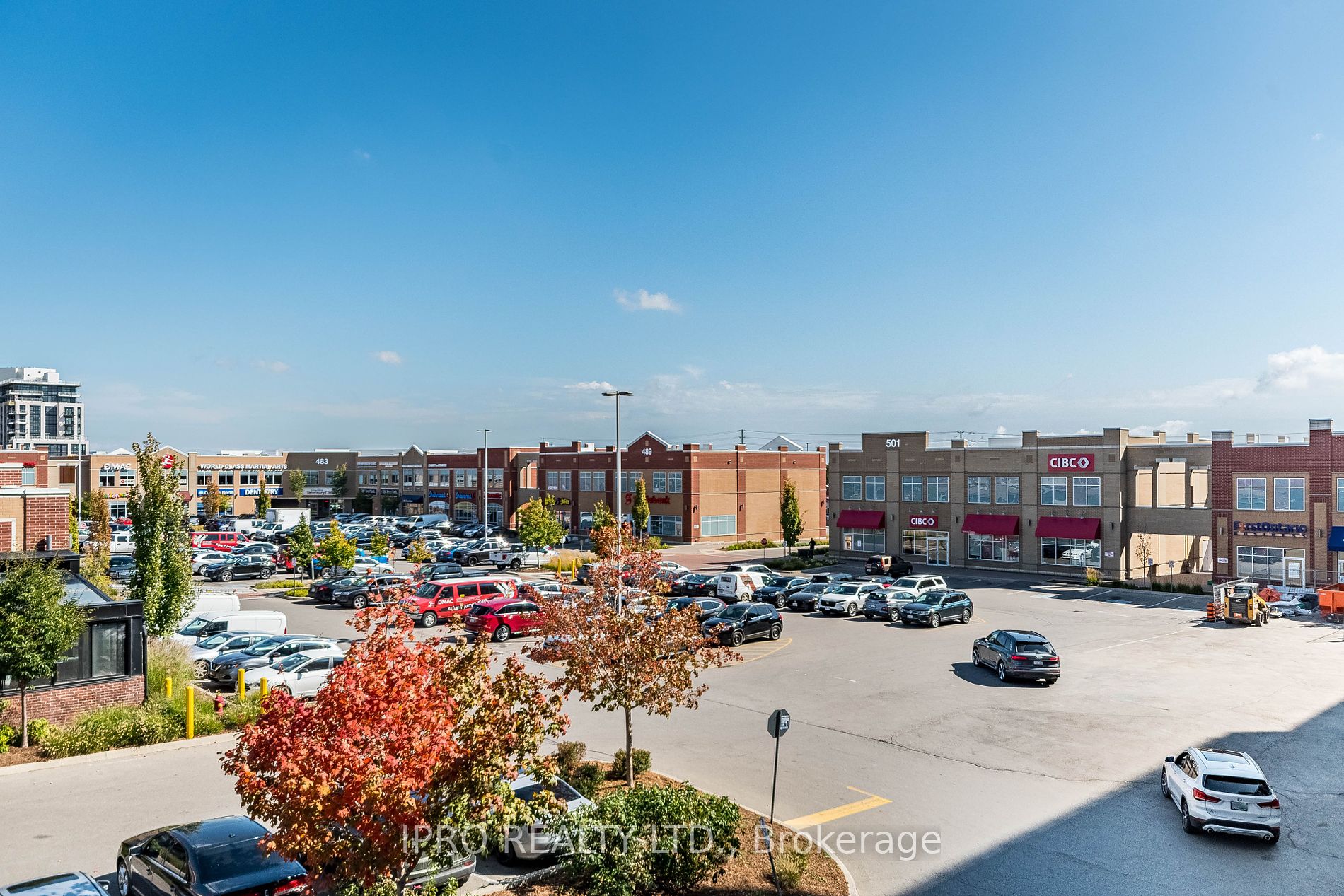 509 Dundas St, #209