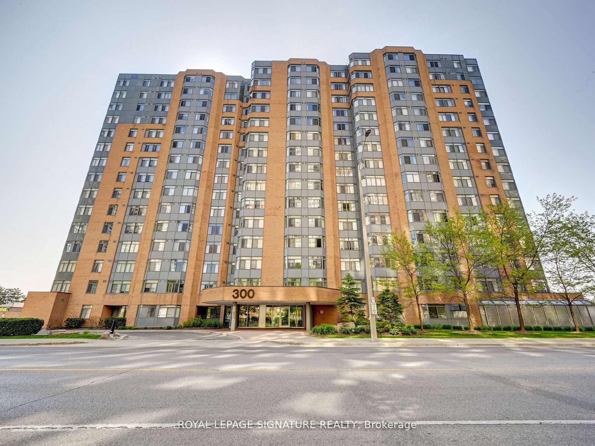 300 Webb Dr, #1003