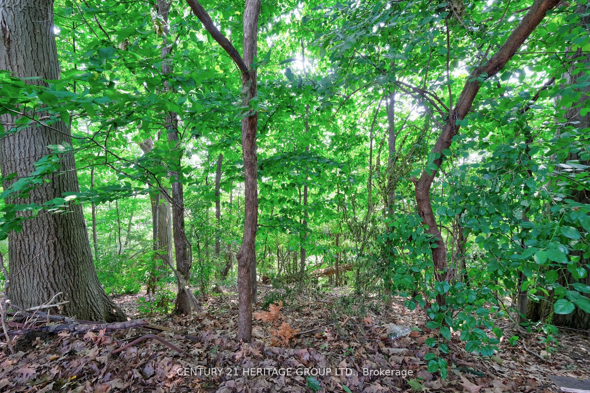 1156 Falgarwood Drive, #Main Fl