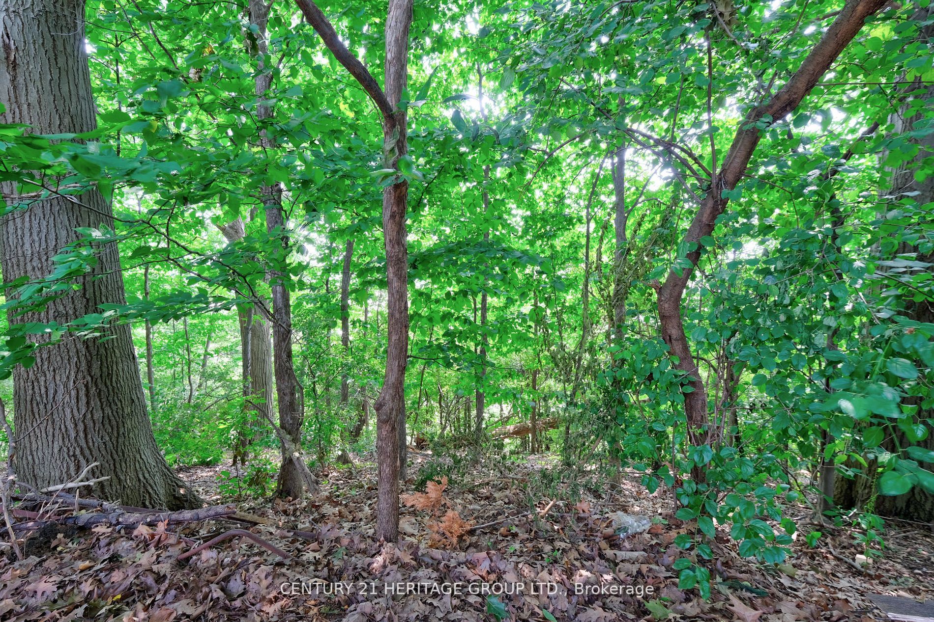 1156 Falgarwood Drive, #Main Fl