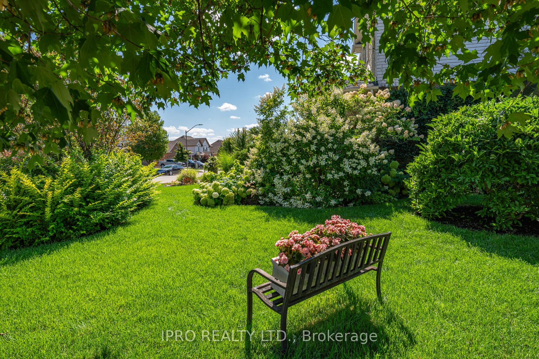 19 Elliott Dr