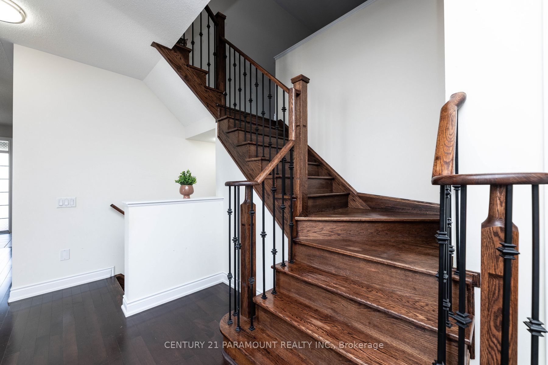 11 Cirillo St