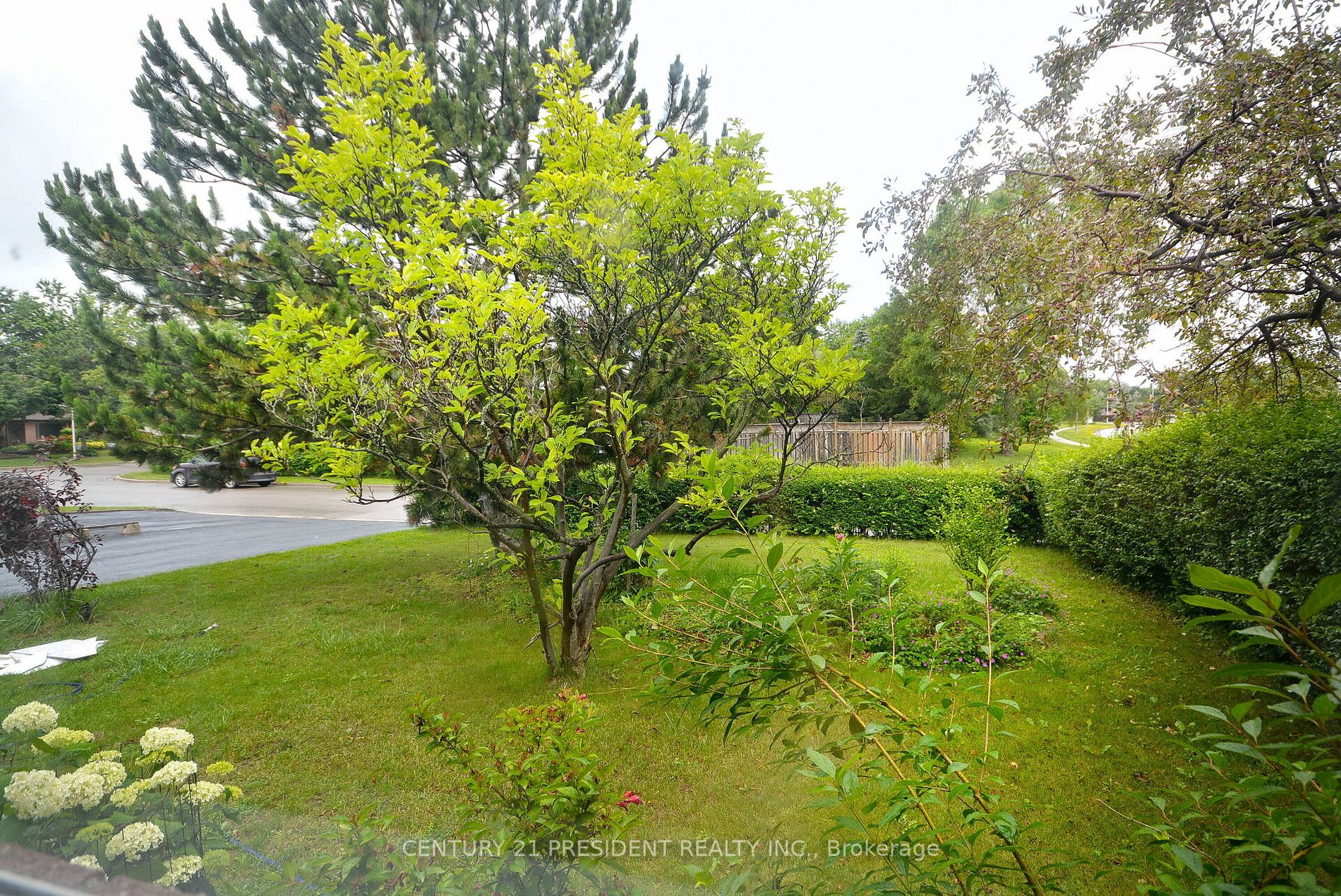 48 Evesham Cres