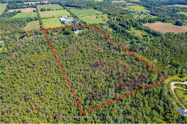 12536 Fifth Line, Milton