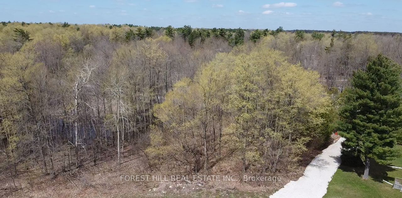 7406 17 Side Rd
