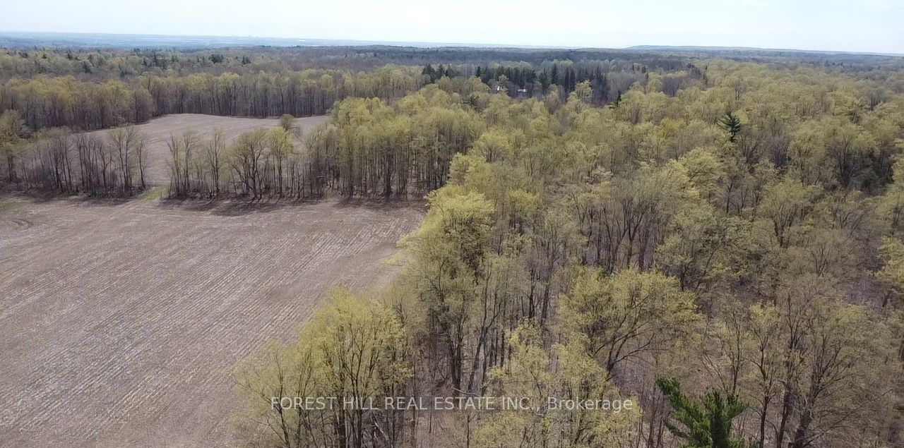 7406 17 Side Rd