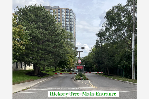 3 Hickory Tree Rd