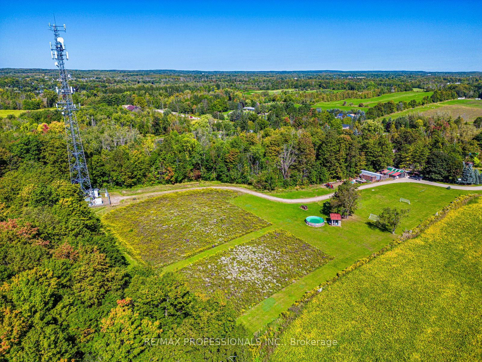 13908 Trafalgar Rd