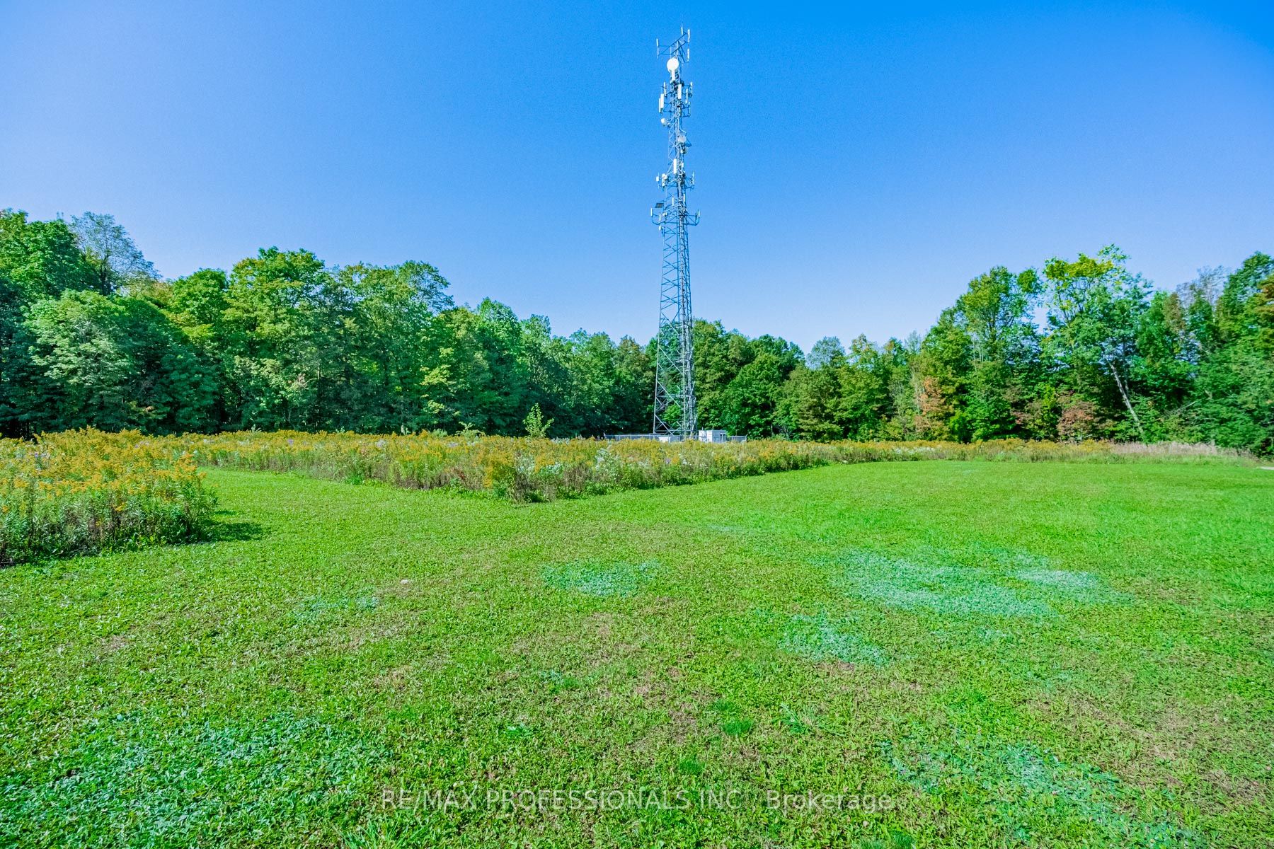 13908 Trafalgar Rd