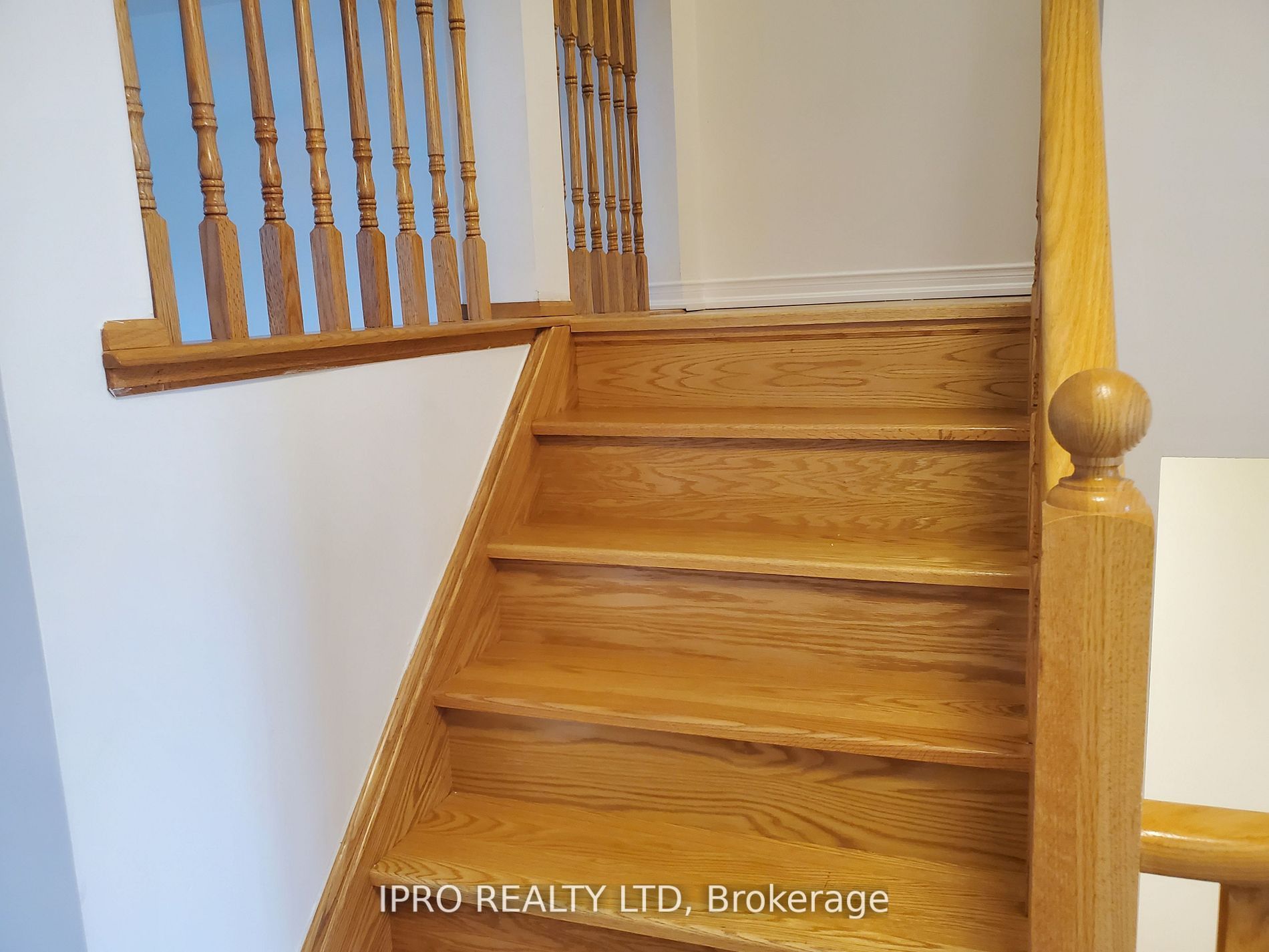 9 Parrotta Dr