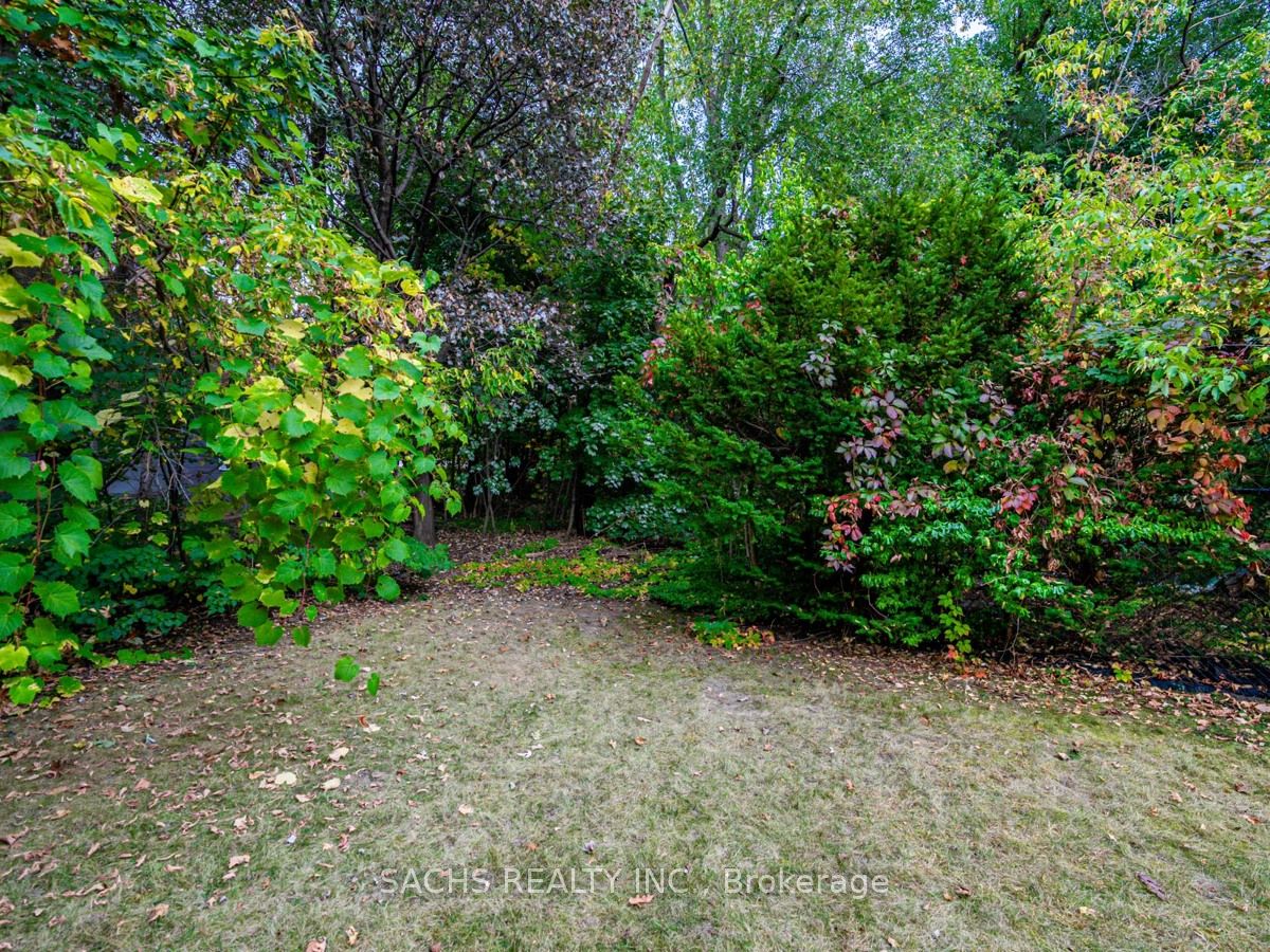 419 Martin Grove Rd