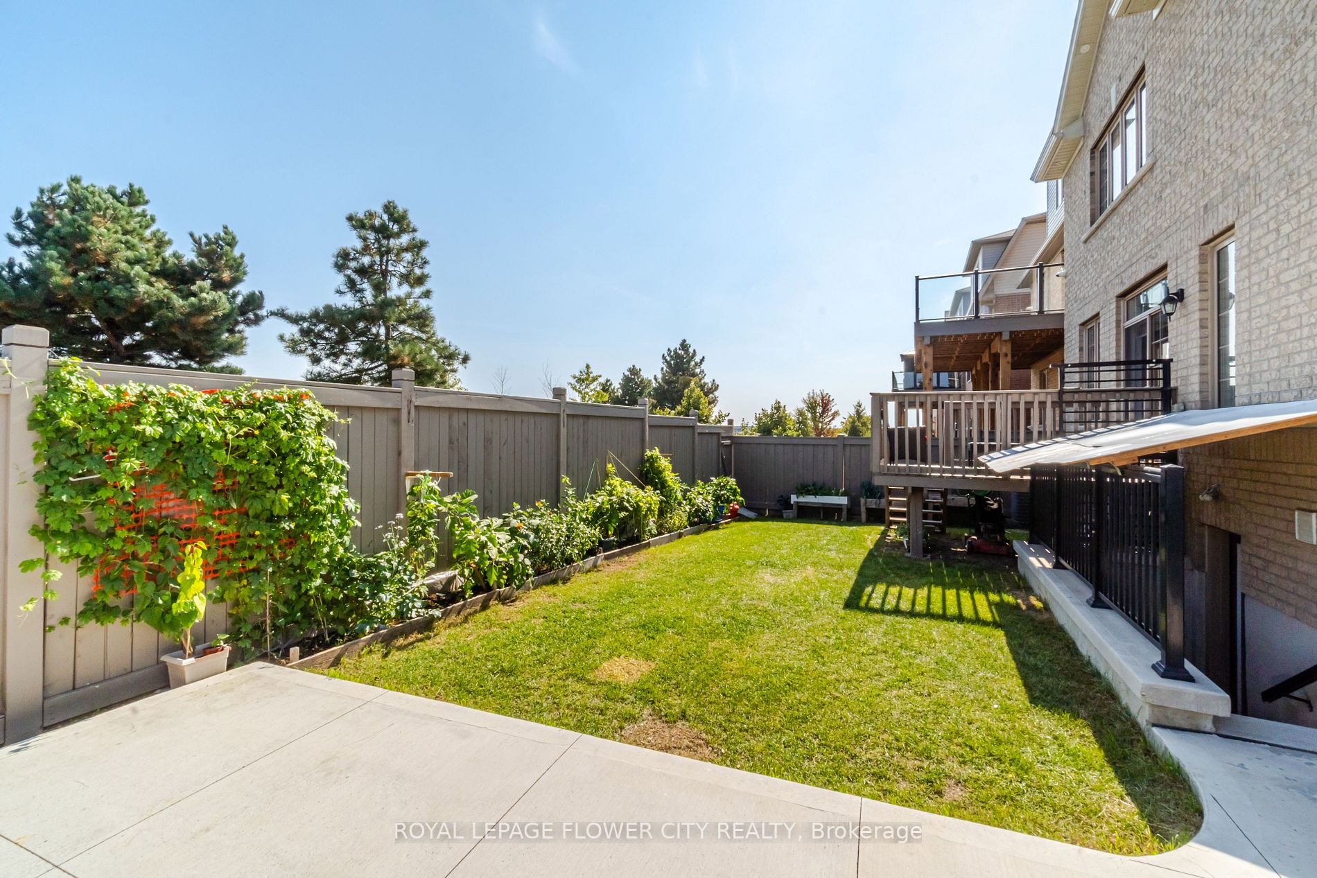 53 Clementine Drive