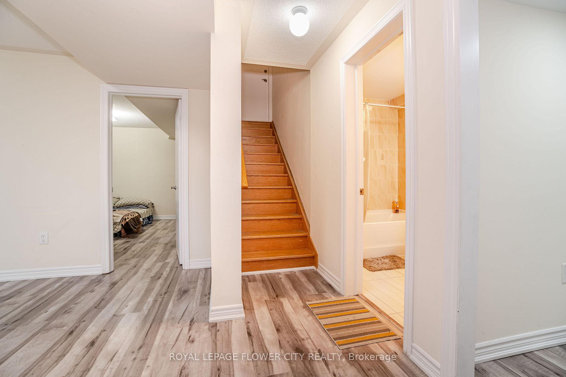 53 Clementine Drive
