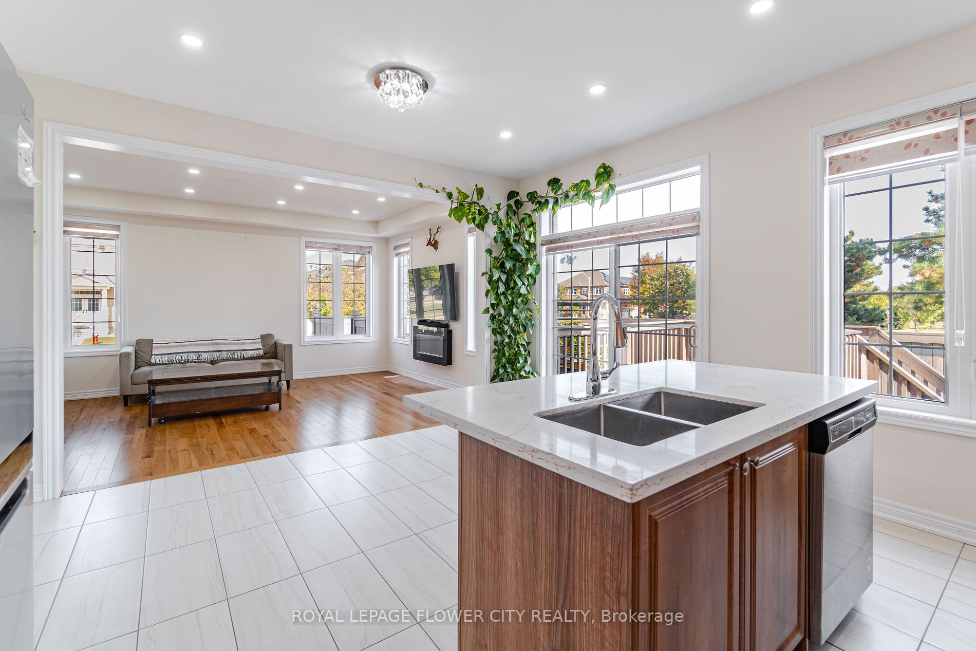 53 Clementine Drive