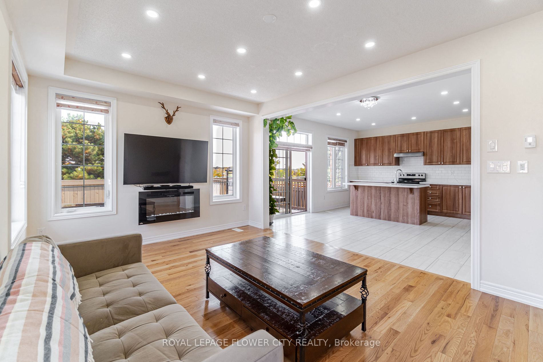 53 Clementine Drive