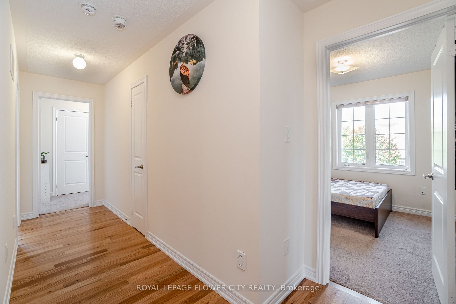 53 Clementine Drive