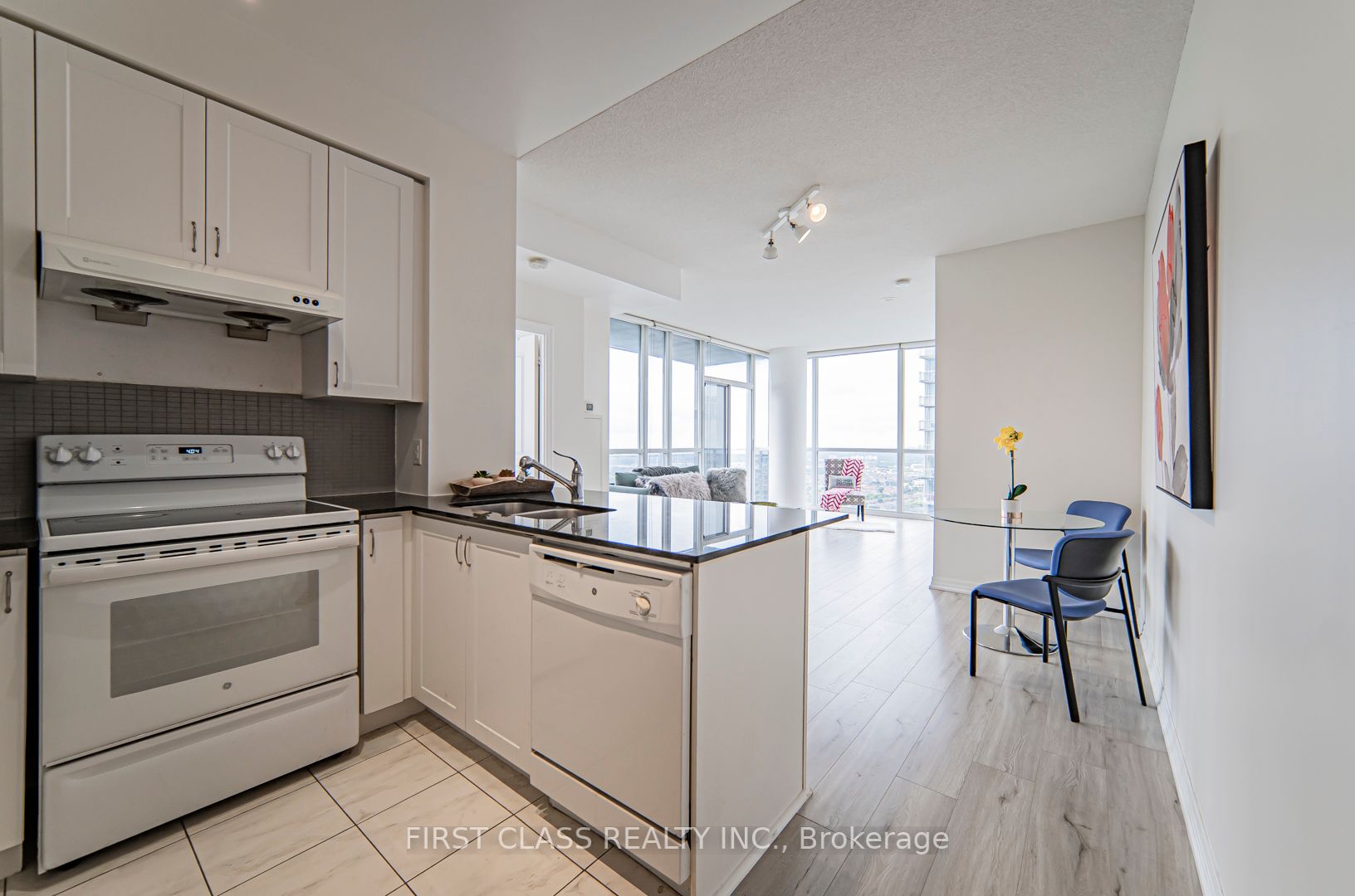 223 Webb Dr, #3109