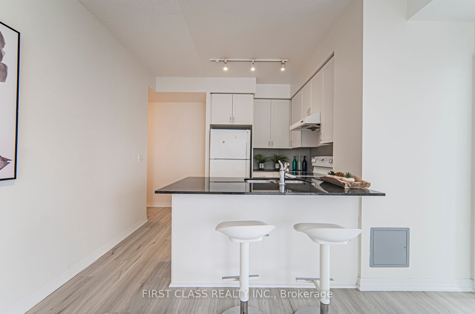 223 Webb Dr, #3109